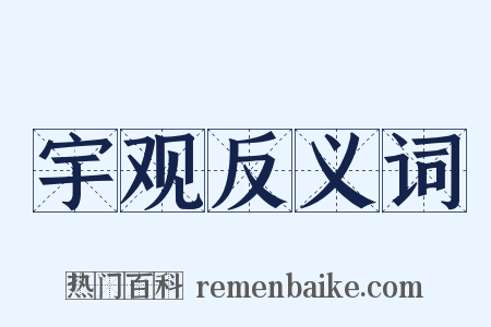 宇观反义词是什么意思的图片